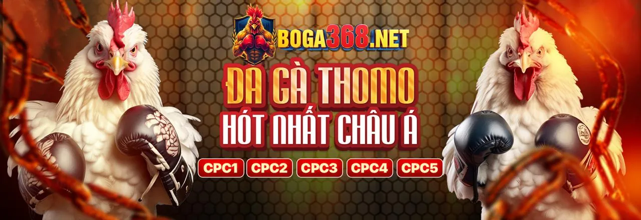 Khuyến Mãi C1688 Hấp Dẫn